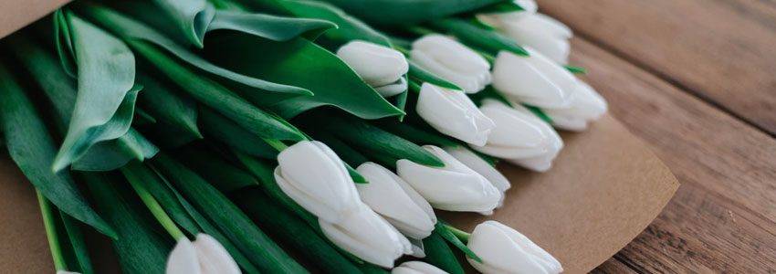 "Bo kjøper blomster til meg hver uke. Jeg får den ene halvparten og Barbro den andre. Det føles veldig bra", sier Elin.